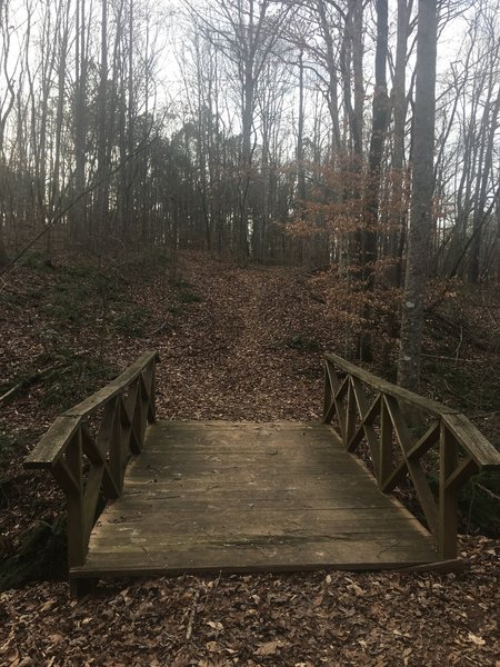 Bridge and steep hill on Trail 7