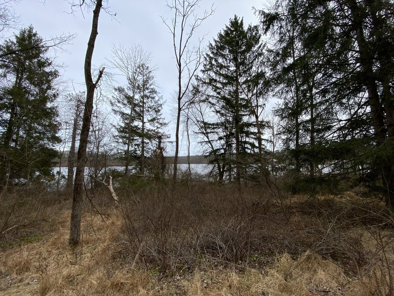 First Lake Nockamixon view from trail