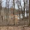 Tohickon Creek from High Bridge Trail