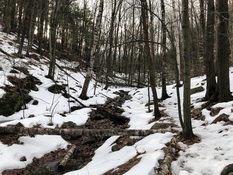 Quarry Trail follows a stream for a brief period