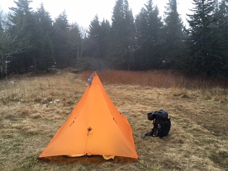 Backcountry Campsite Commissary Hill at intersection of Mt Mitchell Trail #190 and Horse trail