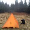 Backcountry Campsite Commissary Hill at intersection of Mt Mitchell Trail #190 and Horse trail