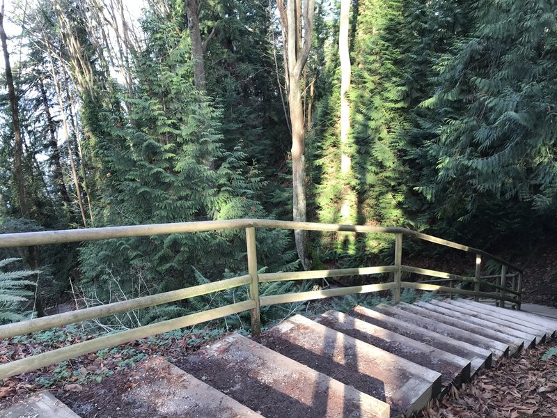 Beginning of the trail shortly after it leaves the road.