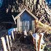 Fairy Houses can be viewed on this section of the trail.