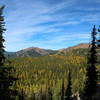 Tamaracks in their glory. Location on map is approximate.