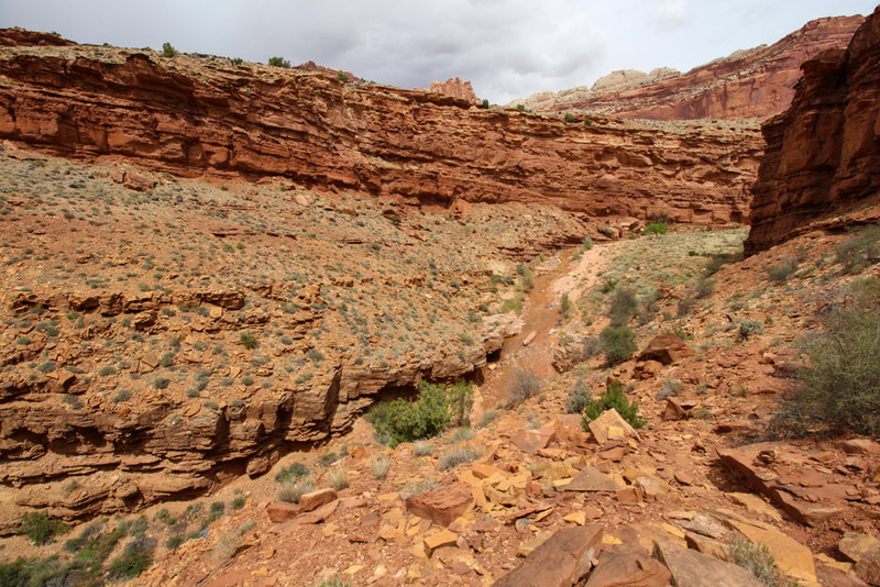 Looking downstream from the bypass trail.