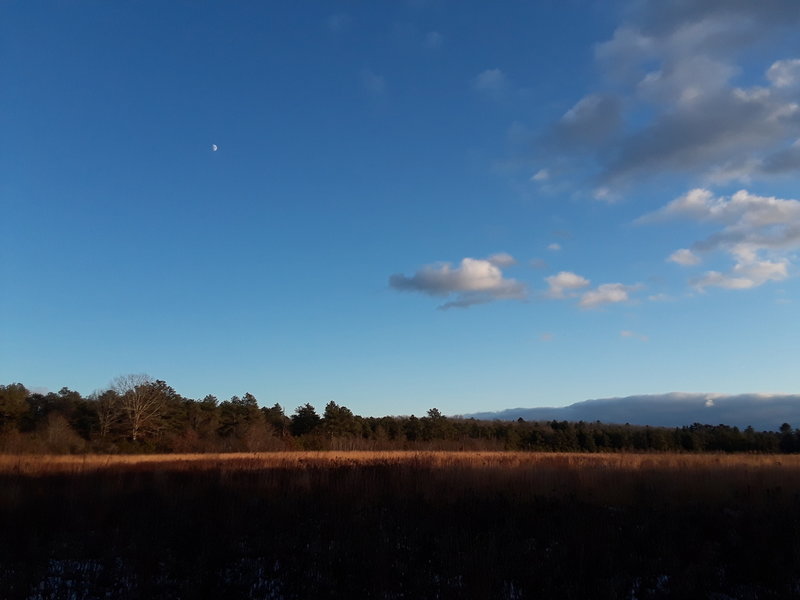 Walking into the field in late autumn with a waxing half-moon.