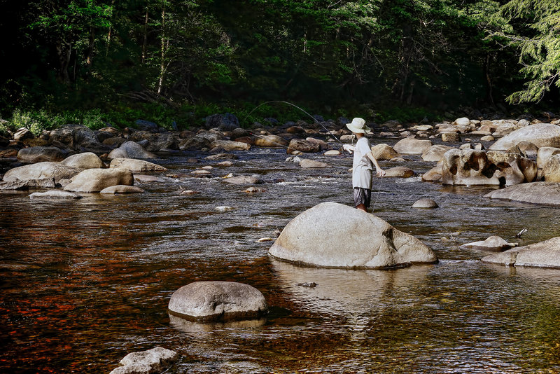 The "bow and arrow" cast at the confluence of the County Line Brook and East Branch of the Sacandaga River.
