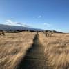 Lovely trail underfoot - Sutton Salt lake