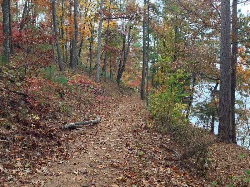 Sweet singletrack straight-a-way