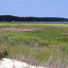 On the walk from Great Island (Wellfleet, MA)