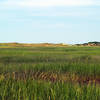 On the walk to Great Island (Wellfleet, MA)