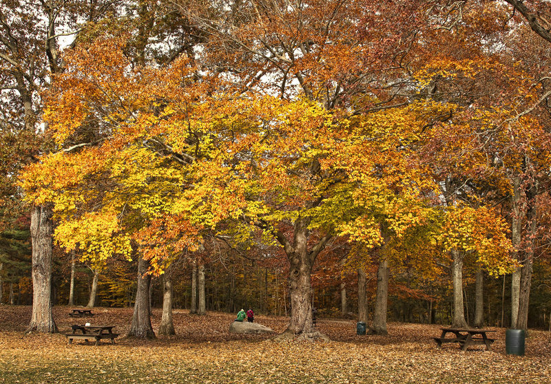 Taken last year at Borderland State Park.