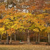 Taken last year at Borderland State Park.