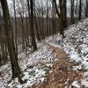 Narrow trail, beautiful hike