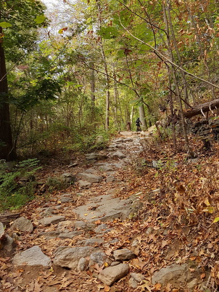 A rocky climb on the northeast part of the trail.