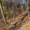 The Wissahickon trails.