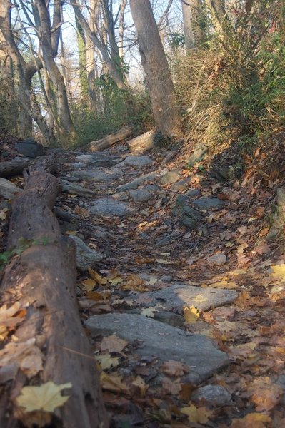 Slippery rocks.