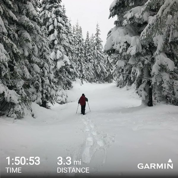 Snowshoeing the trail back down from the hut after a new snow fall.