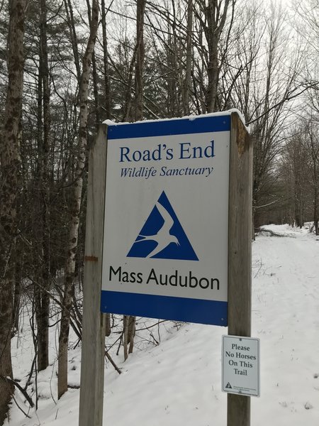 Mass Audubon: Road's End Wildlife Sanctuary