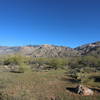 Catalina Mountains from the Nature Loop Trail in January after a rainy December