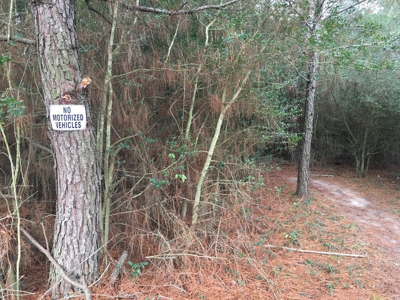 Sign when trail enters the woods