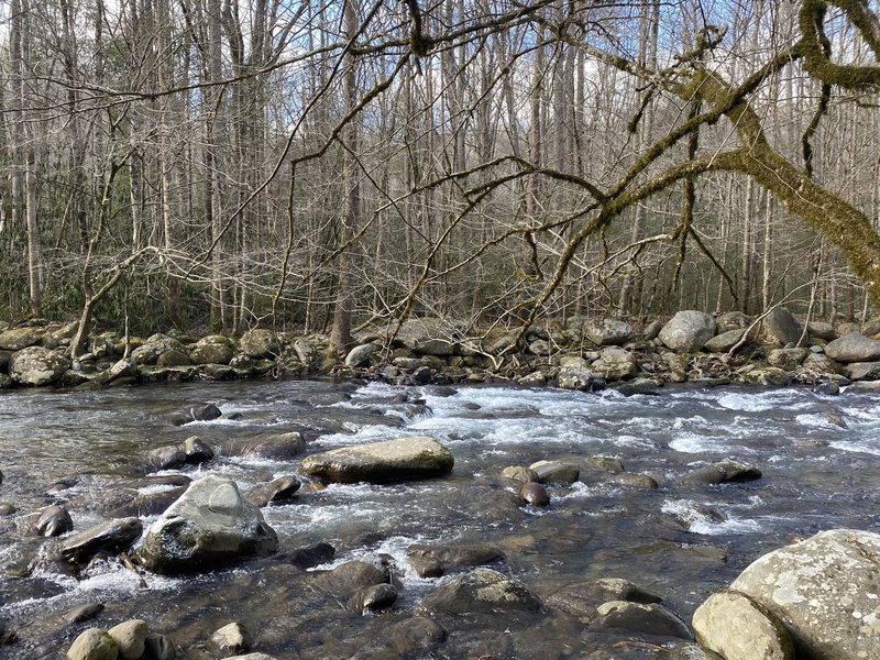 West Prong Little Pigeon River