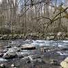 West Prong Little Pigeon River