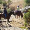 Horseback riding is welcome on all our trails!