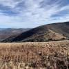 A view of Grassy Ridge Bald from Jane Bald on the AT.