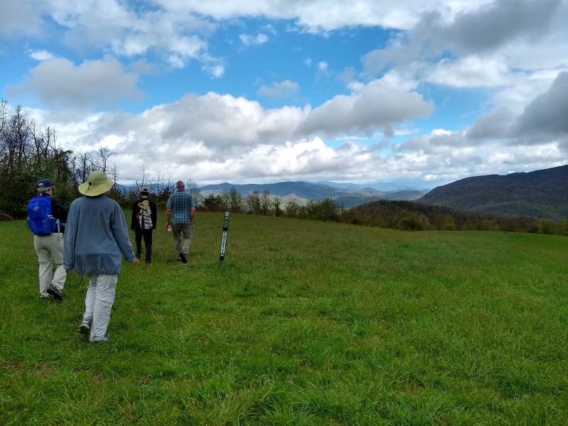 The summit of Blue Ridge Pastures at the end of the Trombatore Trail.