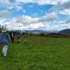 The summit of Blue Ridge Pastures at the end of the Trombatore Trail.