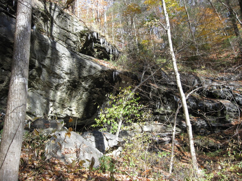 A shot of the drip falls in winter.