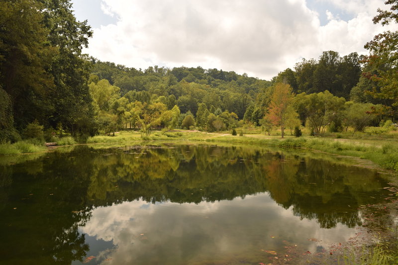 Picturesque views of Rhododendron Lake.