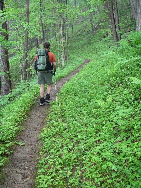 The Foothills Trail in Spring is a beautiful sight indeed!