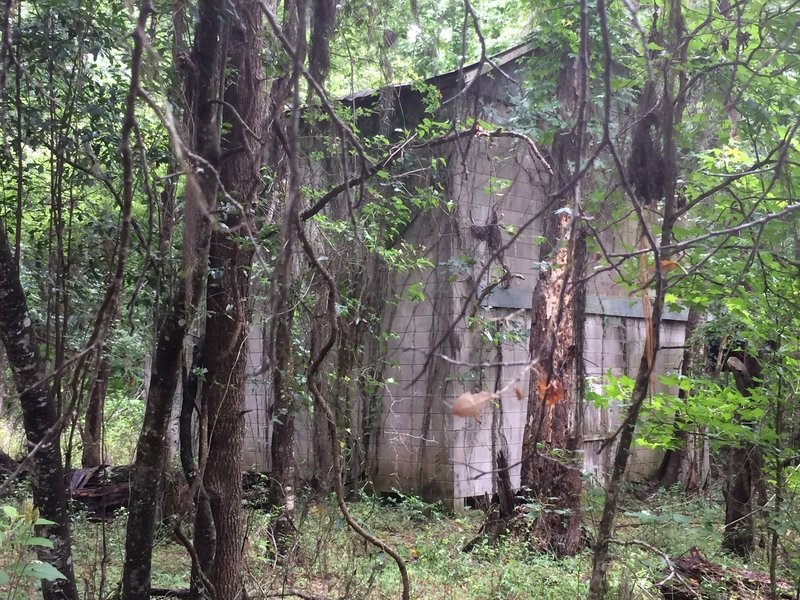 Land was used for logging many years ago. This is a large concrete shed.