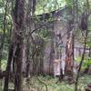 Land was used for logging many years ago. This is a large concrete shed.