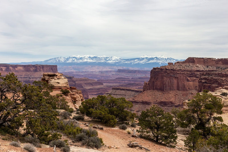 Snow covered La Sal Mountains from the Neck Spring Trailhead