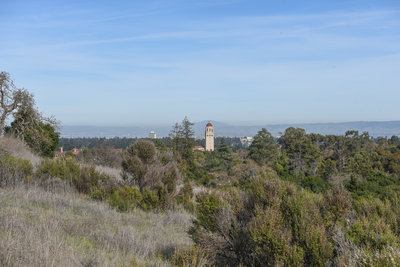 View of the Hoover Tower