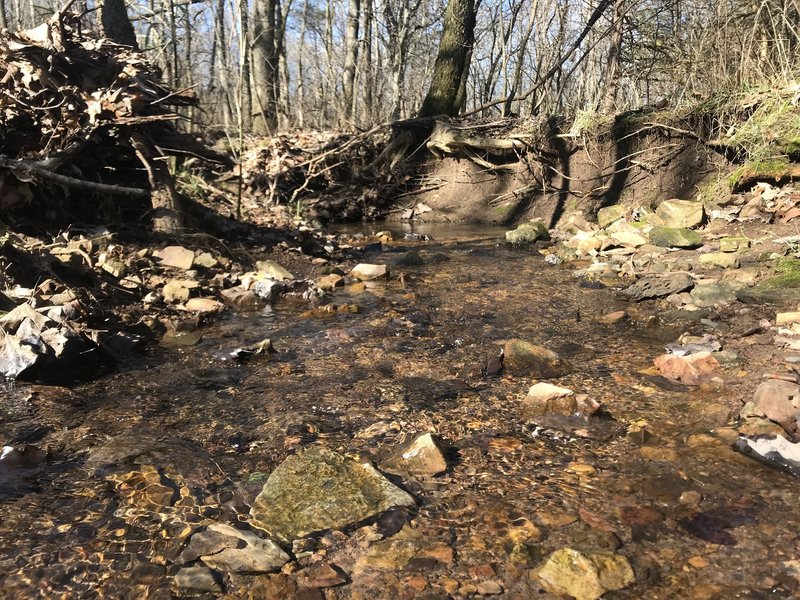 Creek crossing