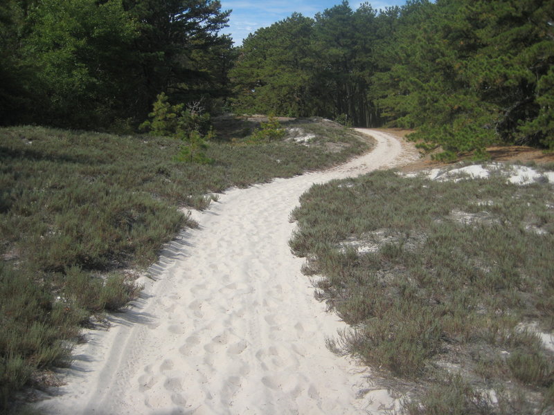 Cranes Beach