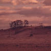 Crane Beach, a Federally-Protected Dune Preserve, between Essex and Ipswich 02/1973