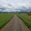 Trail meanders through pastures and open spaces with nice views of the front range and lakes.