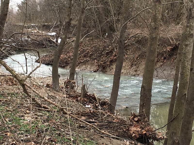 Hart Creek during higher water. This can be tough to cross!