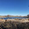 Looking eastward over Ladora Lake