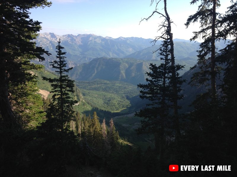 Just getting started on Timpooneke Trail