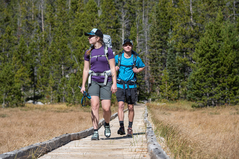 Boardwalk over wet lands