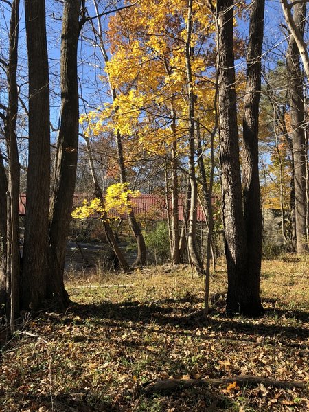 Fall colors near the Stover Park Rd bridge.