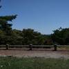 arnold arboretum