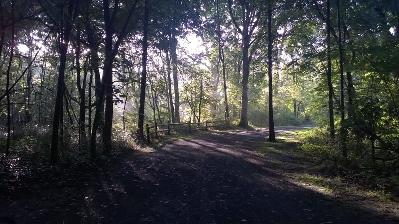 Perkiomen Trail north of Rt 113.